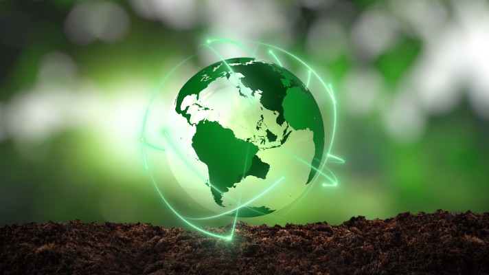 Assessing Company Readiness for the Adoption of ESG Strategies