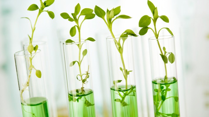 Why Does “Green Chemistry” Matter in Business?