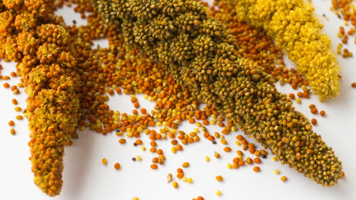 Millets: From Ancient Grains to Modern Staples